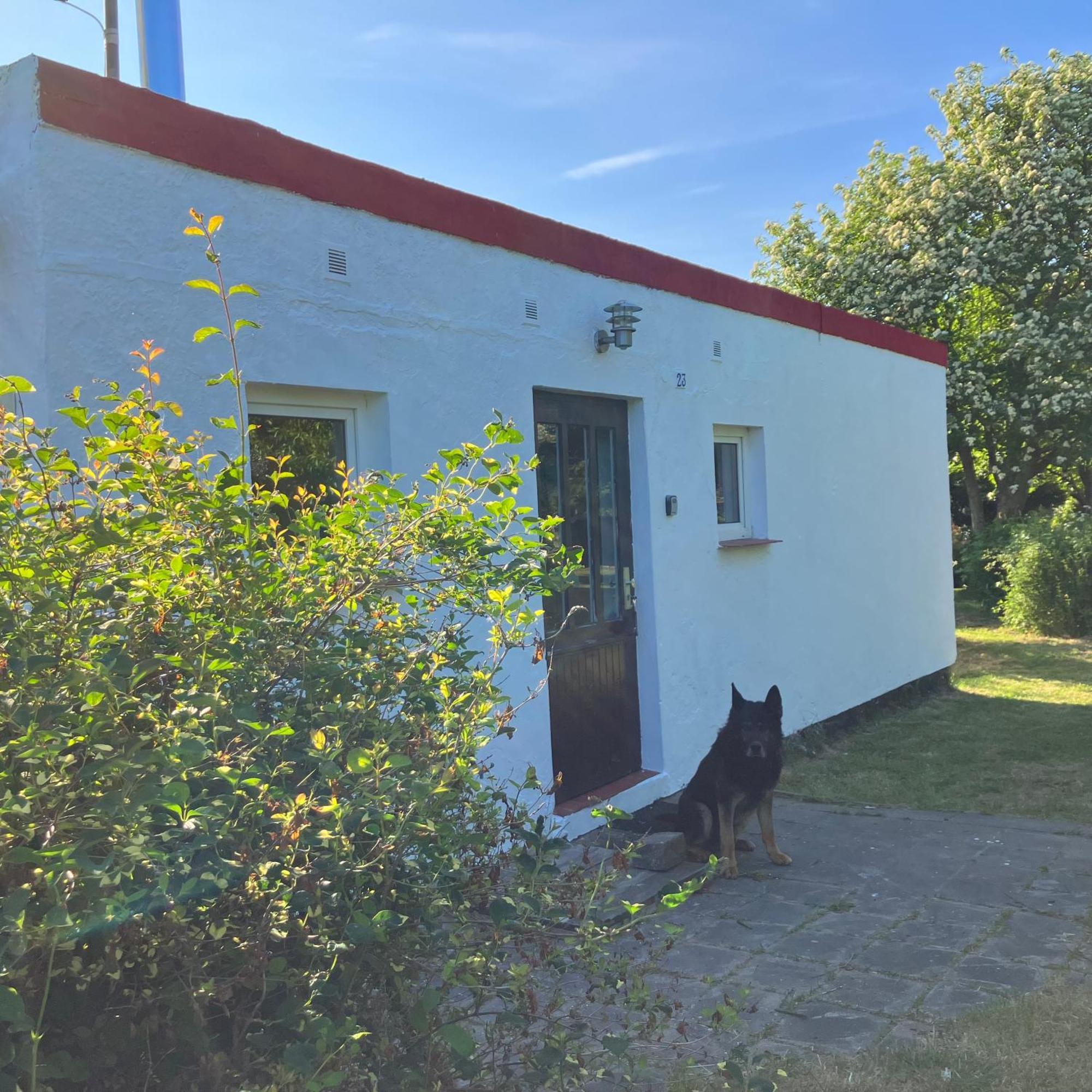Gemuetliches Haeuschen An Der Westkueste Ruegens Holiday home Dranske